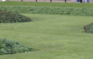 Lawn care