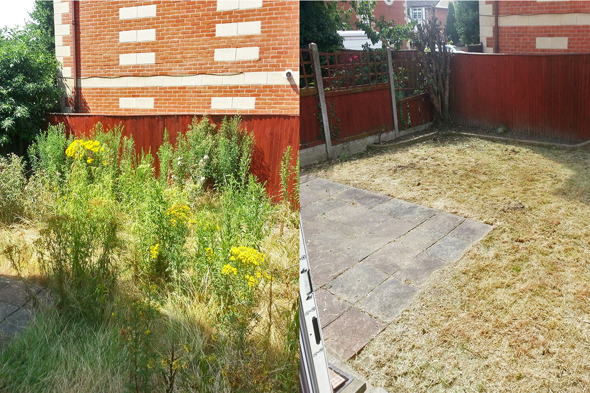 Tidy up - Professional Gardening and landscaping in London